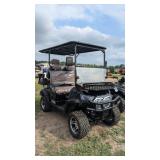Brand new electric golf cart
