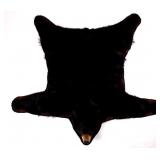 Trophy Montana Black Bear Full Body Rug Mount