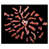 Collection of Red Branch Coral Necklace Pieces