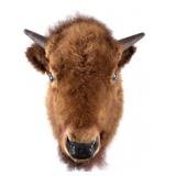 Small Montana Buffalo Taxidermy Wall Mount