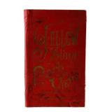 c.1890 Yellowstone Park Views Souvenir Album