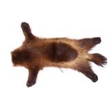 Alaskan Wolverine Pelt