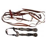 Bridle Collection w/ Studded Head Stall