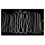 Collection of White Millefiori African Trade Beads