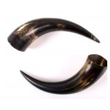 Pair of Large Cow Horns