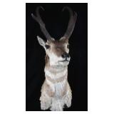 Montana Pronghorn Taxidermy Shoulder Mount