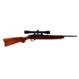 Sturm Ruger 10/22 .22 LR Semi Auto Carbine