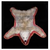 Rare Albino Black Bear Full Body Taxidermy