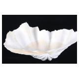 Large China Clam Seashell Half