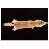 Montana Taxidermy Tanned Red Fox Hide