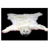 Excellent Polar Bear Taxidermy Rug Mount