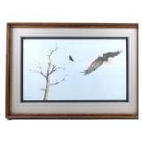 In Flight Eagle Pencil Art By Kelly Vollrath 1981