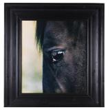 Modern Art Horse Eye Reflection Photograph