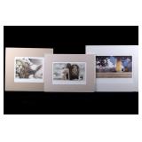 Mark Larson Primal Hand Painted Tinted Prints