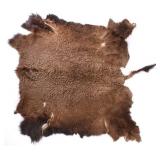 Montana Wild Buffalo Trophy Fur Hide Rug