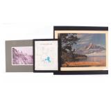 1959 Yellowstone Park Map & Pamphlet & Park Photos