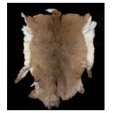 Montana Whitetail Tanned Deer Hide