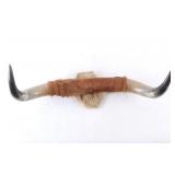 Montana Steer Horn Wall Mount