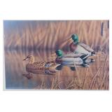 Afternoon Mallards By Richard Clifton