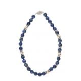 Southwest Lapis & Luxury Concho Style Necklace