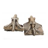 Ca. 1860 Apache Rawhide Saddle Beaded Stirrups