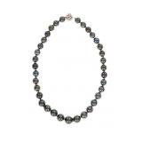 Scarce Black Tahitian Pearl 14K Gold Necklace