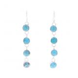 Navajo Fox Turquoise Dangle Earrings