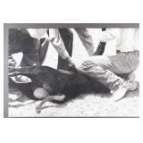 Rox Corbett (1956-) Fine Original Cowboy Charcoal