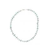 Navajo Dry Creek Turquoise & Sterling Necklace