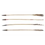 Plains Metal Tip Painted Arrow Collection