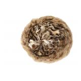 Montana North American Lynx Fur Woman
