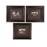Western Collection of Sepia Gelatin Photographs
