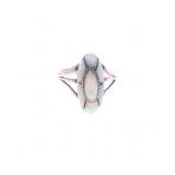 Navajo Fred Maloney Sterling Silver Opal Ring