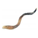 Judaica, Israeli Rams Horn Shofar Signaling Horn