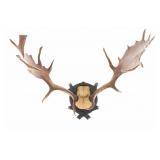 19th C Eckartsau Ferdinand & Kaiser Fallow Deer