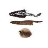 Montana River Otter, Muskrat, & Skunk Hides