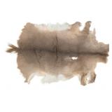 Montana Tanned Whitetail Deer Taxidermy Hide