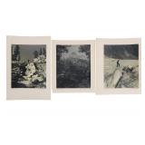 Ca. 1941 Large Format Teton National Forest Photos
