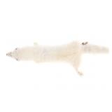 Snow White Arctic Fox Professional Taxidermy Hide