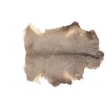 Montana Tanned Mule Deer Hide Taxidermy