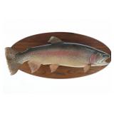 Large Montana Rainbow Trout Trophy Real Skin Mount