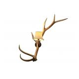Peter M. Fillerup Bronze & Elk Antler Wall Light