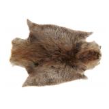 Well Kept Large Montana Beaver Fur Hide