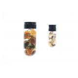 Natural Opals In Display Jars With Water