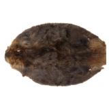 Large Montana Professional Taxidermy Beaver Hide