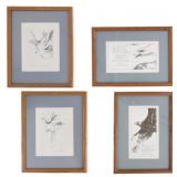 Mario F. Fernandez Bald Eagle Prints 1885-89 (4)