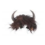 19th-C. Assiniboine Bison Horn Bonnet ex-Canfield