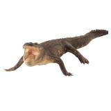 Full Body Florida Alligator Taxidermy, 2007