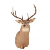 Michigan 4x4 Whitetail Taxidermy Shoulder Mount