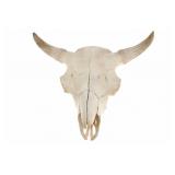 LARGE Petrified Bison Occidentalis Skull
